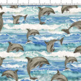 dolphins-MM734